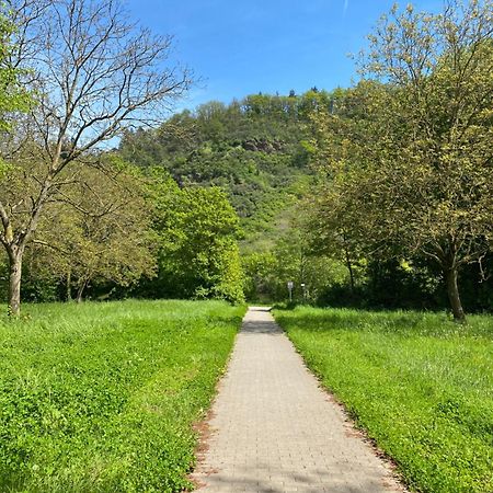 Ferienwohnung An Der Saar Konz Exteriér fotografie
